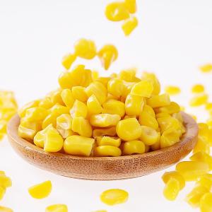 Wholesale edible salt: Canned Corn