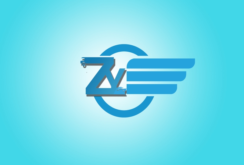 Yiwu Zhongyou Imp & Exp Co.,Ltd Company Logo