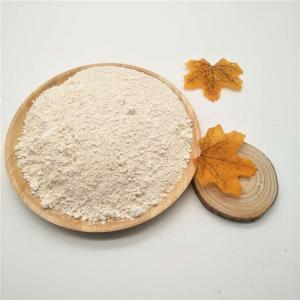 Wholesale Other Food Additives: Hot Sale Good Price Food Grade Rice Protein Powder