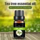 Sell Tea Tree oil