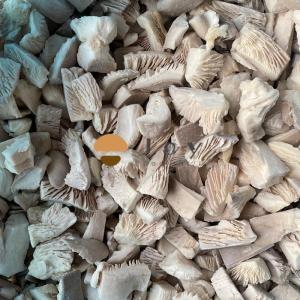 Wholesale oyster mushroom: IQF Frozen Oyster Mushroom Pleurotus Ostreatus