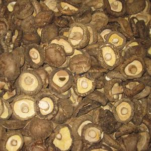 Wholesale dry shiitake mushroom: Dehydrated Dried Shiitake Mushroom Lentinus Edodes