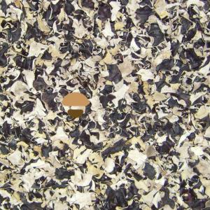 Wholesale fungus: Dehydrated Dried White Back Black Fungus Auricularia Polytricha