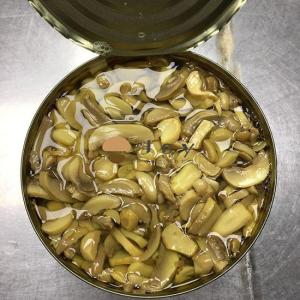 Wholesale canned whole mushroom: Canned Champignon Mushroom Whole Slices Pieces and Stems