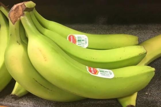 Vietnam Fresh Cavendish Banana Id 11239466 Buy Vietnam Banana Cavendish Vietnamese Fruit Ec21