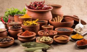 Wholesale spice blends: Culinary Essence Extravaganza