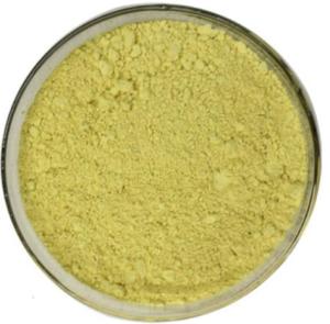 Wholesale Baicalin: Cheap Price Baicalin Powder with CAS 21967-41-9 From Chinese Manufacturer