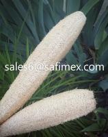 Sell Natural loofah sponges
