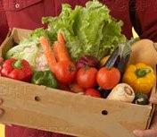 Sell Organic fresh Vegetable