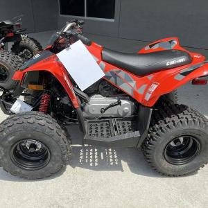 Wholesale hot sell: Hot Selling Door To Door Shipping 2022 Can-Am DS 70 Discount Sales