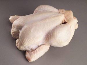 Wholesale slaughter: Chicken Gizzard-Chicken Liver in Bulk/Processed Frozen Chicken Gizzard Supplier/Frozen Chicken Breas