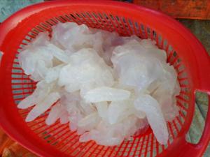 Wholesale jelly: Salted Jelly Fish
