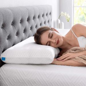 Wholesale memory foam pillow: Basf Pillow