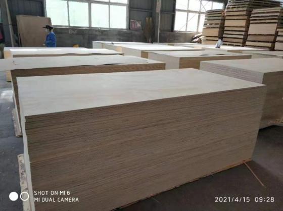 We Sell Many Different Kinds of Plywood