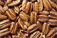 Wholesale sweet: Pecan Nuts