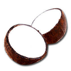 Wholesale safety: Coconuts