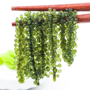 Wholesale organic foods: Organic Green Food Sea Grapes - Umibudo Green Caviar- Dehydrated Marinated in Salt Water