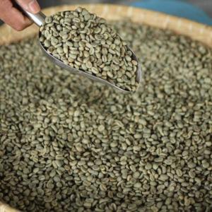 Wholesale arabica coffee beans: Arabica Coffee Beans