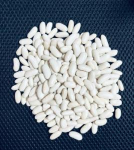 Wholesale beans: Egyptian White Kidney Beans