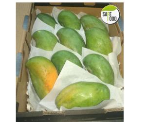 Wholesale carton: Fresh Mango