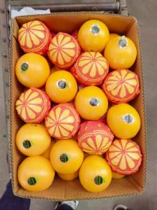 Wholesale Citrus Fruit: Fresh Orange