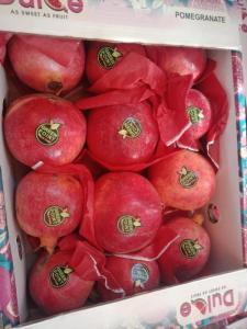 Wholesale packing box: Fresh Pomegrante