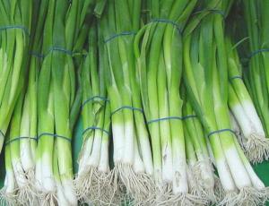 Wholesale packaging box: Fresh Spring Onions
