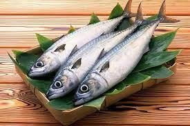 Wholesale Fish: 2020 New Light Catching Good Quality Frozen Horse Mackerel Fish