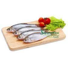 Wholesale Fish Meal: Sea Food Frozen Whole Mud Fish WR Farm Raised SFF From Vietnam