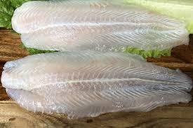 Wholesale basa: Vietnamese Frozen Pangasius (Basa Fish) Fillet