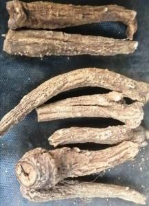 Wholesale lappa root extract: High Quality Fartory Supply Natural Herbal Medicine Aucklandia Lappa Decne/Costus Root