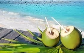 Wholesale healthy drinks: Coconut Fresh Young