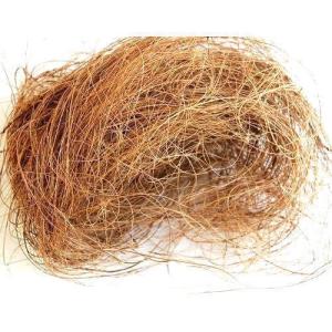 Wholesale coir dust: Long Coconut Fibre