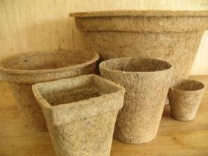 Wholesale coconut pots: Coconut Fibre Pot