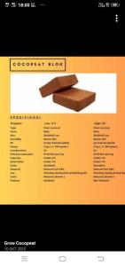 Wholesale blocks: Cocopeat/Coir Pith
