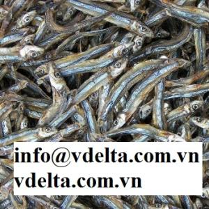 Wholesale dried anchovy fish: Dried Anchovies/Dried Fish with Best Quality, Best Price