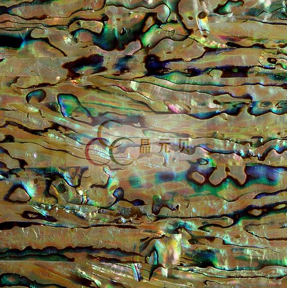 Abalone S Mosaic Tiles For Decorative Material Id 6787695 Abalone S Mosaic Tiles For Decorative Material Image
