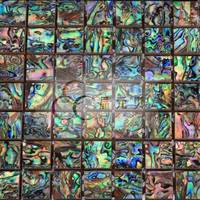 Abalone Shell Mosaic Tiles For Decorative Material Id 6787706 See Larger Picture Abalone Shell Mosaic Tiles For Decorative Material