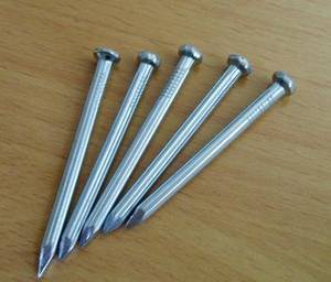 Wholesale best nails: Best Price Concrete Nails Export To Africa,Asia and South America Market