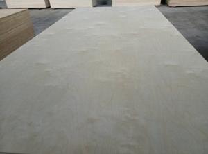 Wholesale iron pallet: Vietnam White Birch Plywood