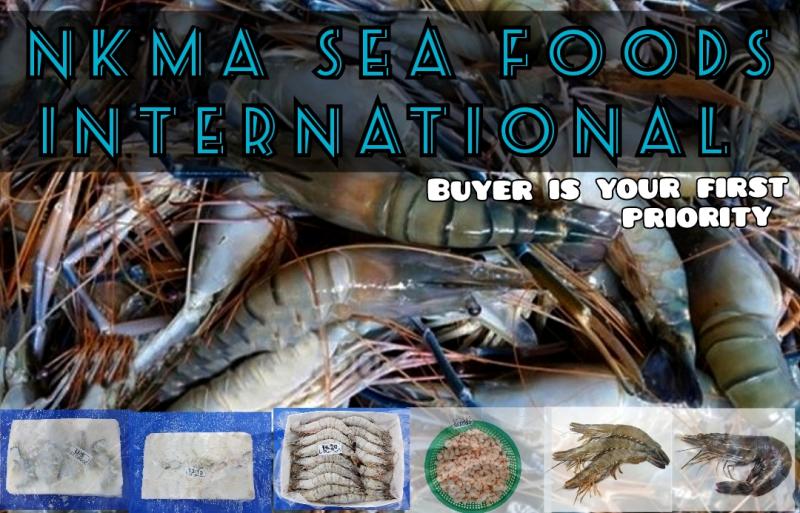 Galaxy Seafood International