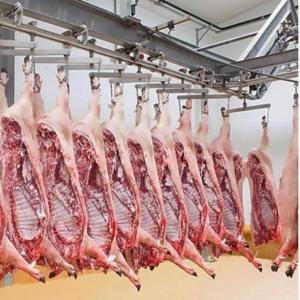 Wholesale dairy products: Frozen Porks ,Frozen Porks Tail,Ears,Legs,Hind/Frozen Porks Feet Ready for Export