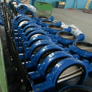 Wholesale wafer center butterfly valve: Cast Iron GG25 Concentric Rubber Lined Butterfly Valve