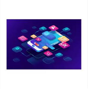 Wholesale Software Development: Software Customized Development/APP Customized Service