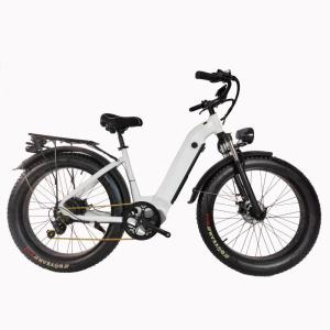 Wholesale Electric Bicycle: Ecoda Electric Bike Supplier