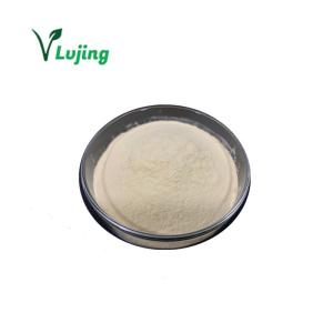 Wholesale natural weight loss: Pure Natural 5%, 8%, 10% Apple Cider Vinegar Powder Apple Extract ACV for Weight Loss