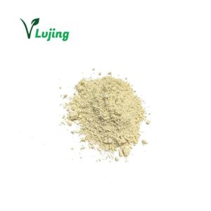 Wholesale ginger powder: Factory Supply High Quality Ginger Root Extract Powder 5% Gingerols