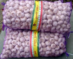 Wholesale Seasonings & Condiments: Garlics
