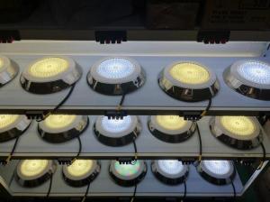 Wholesale low voltage led lighting: Underwater Surface Mounted IP68 LED Pool Lights Stainless Steel, 12w or 18W