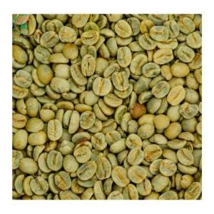 Wholesale coffee beans: S16 Beans Coffee Arabica